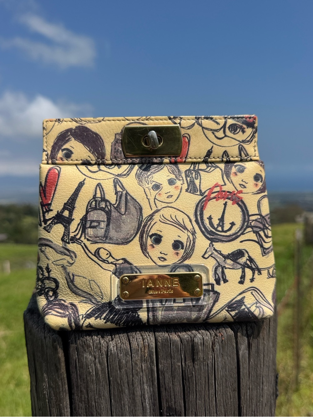 Ianne Paris Tiara Face Paris Print pouch Clutch Mini bag